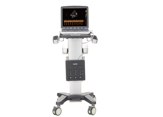 Future Industry Prospects of the Portable Veterinary Color Doppler Ultrasound System SonoBook 6 VET