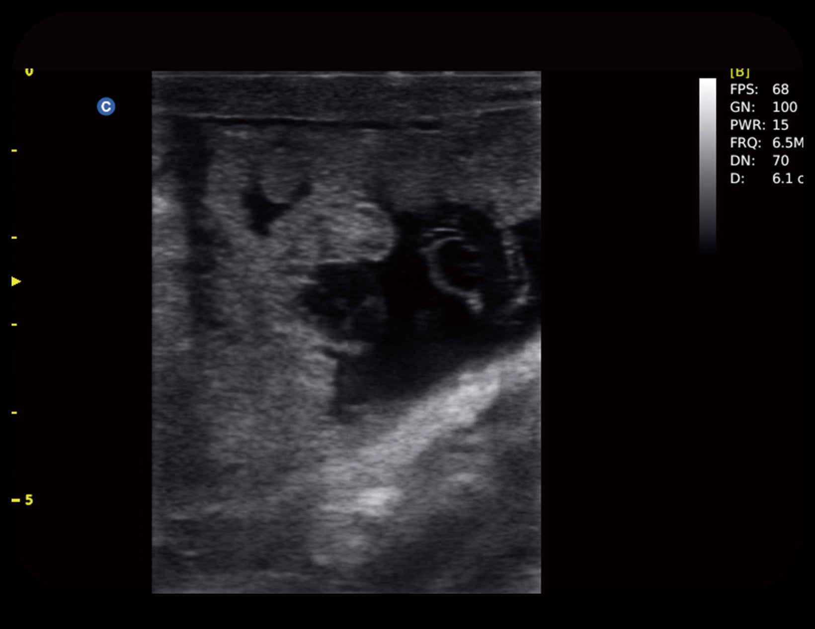 Portable Veterinary Color Doppler Ultrasound System ECO 6 VET CHISON portable-veterinary-color-doppler-ultrasound-system-eco-6-vet-chison